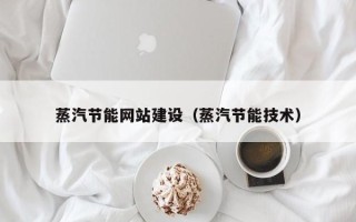 崇左蒸汽节能网站建设（蒸汽节能技术）
